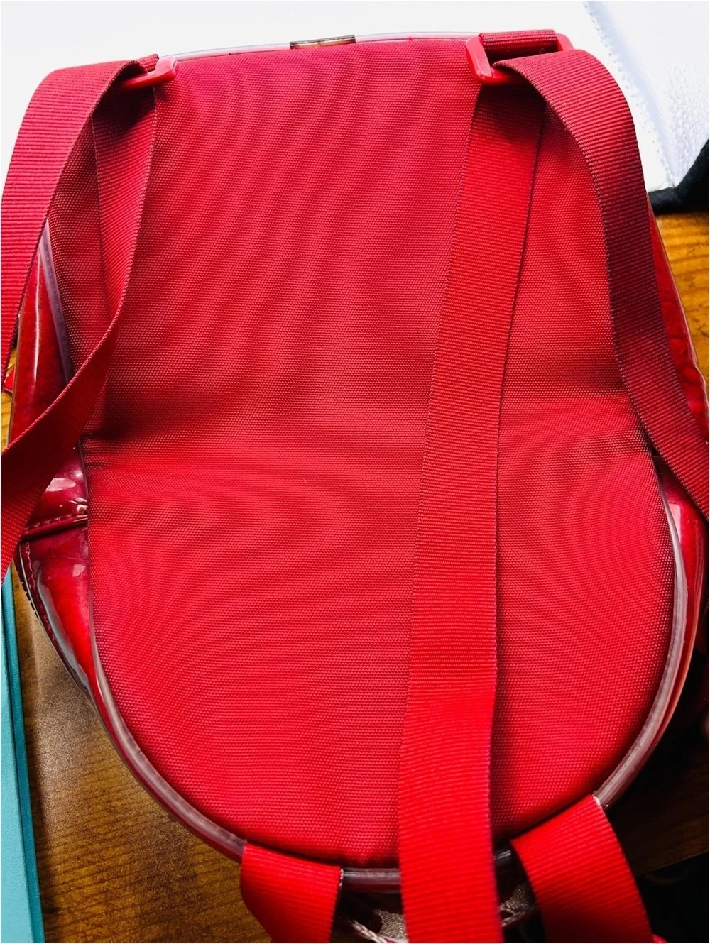 UGG Dannie II Red Clear Mini Backpack with Front Zip Pocket Discontinued GC